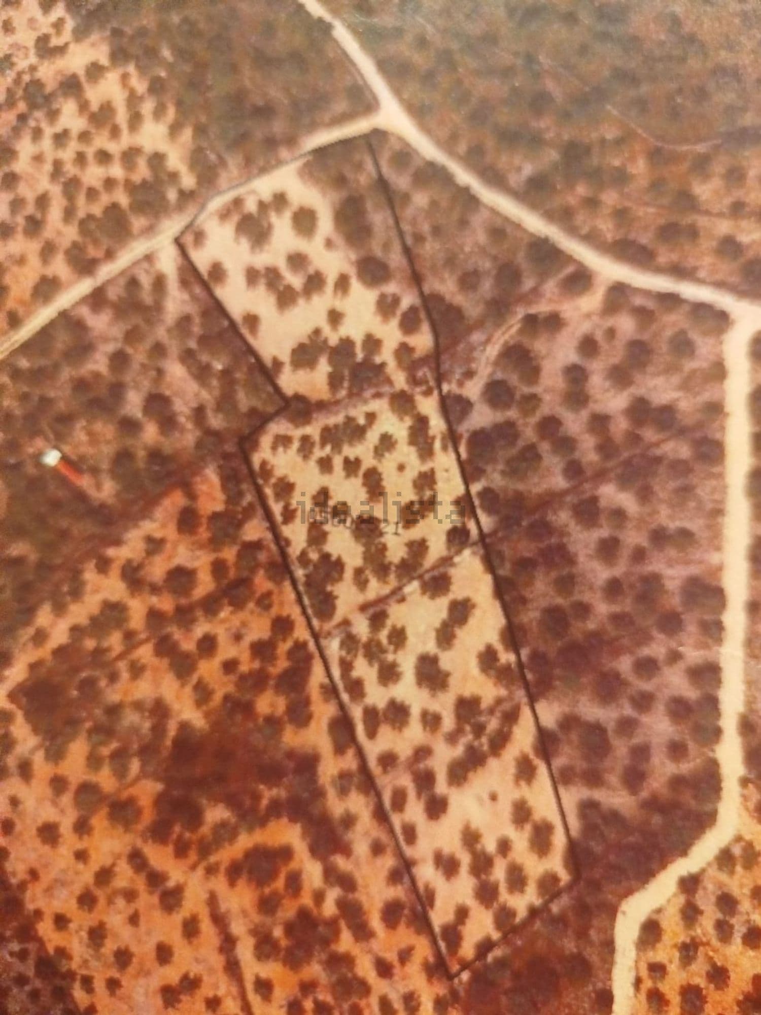 Plano aéreo de las parcelas de la zona