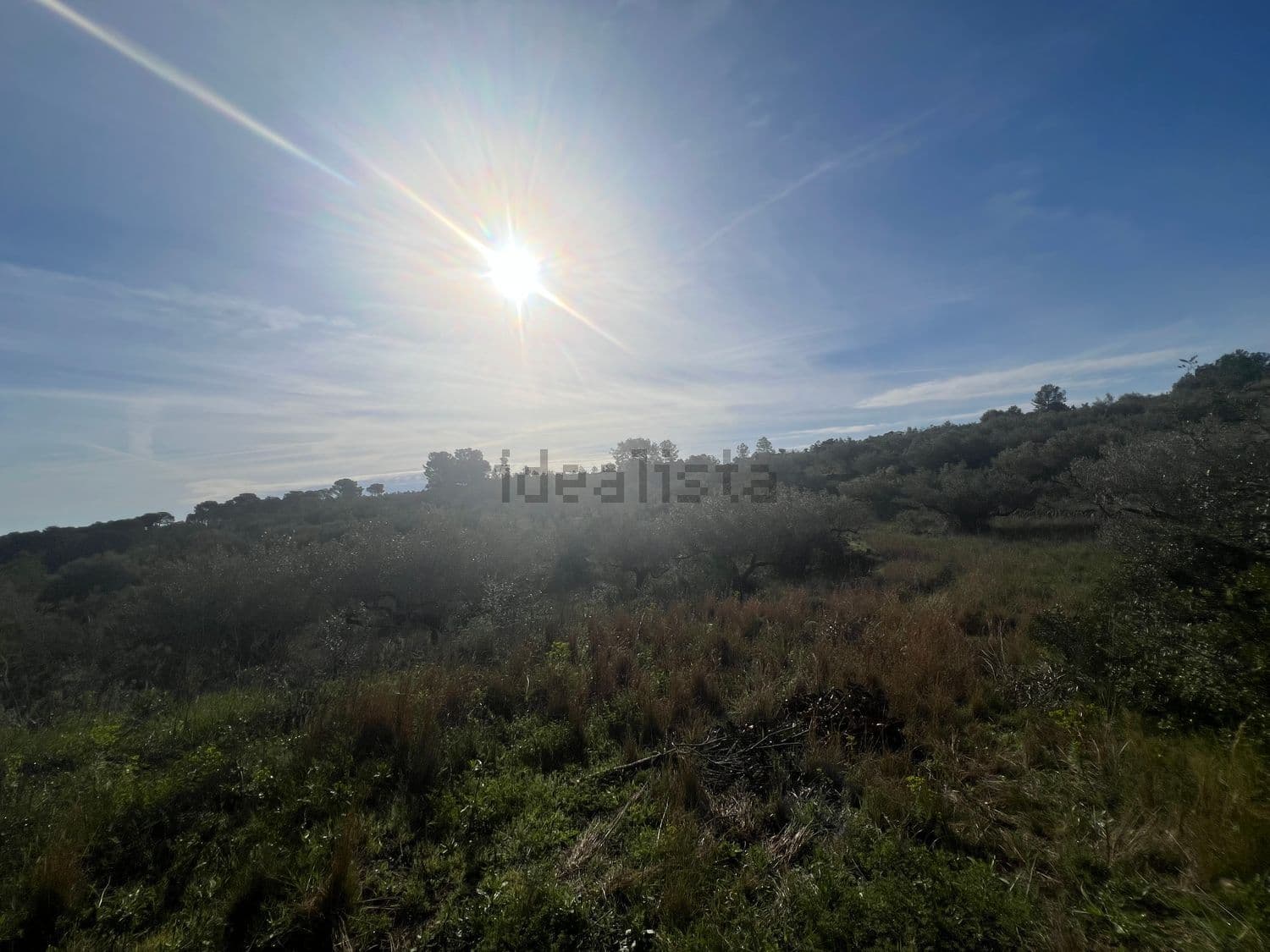 Vista del monte a contraluz