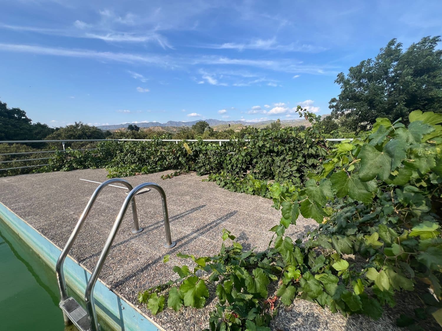 Borde de la piscina con escalera y vegetación
