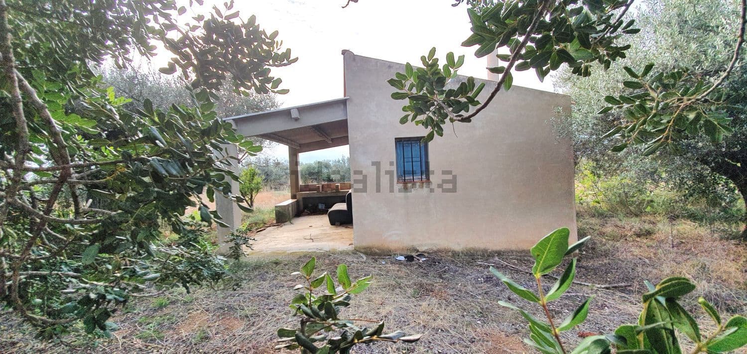 Casa de campo vista entre la vegetación