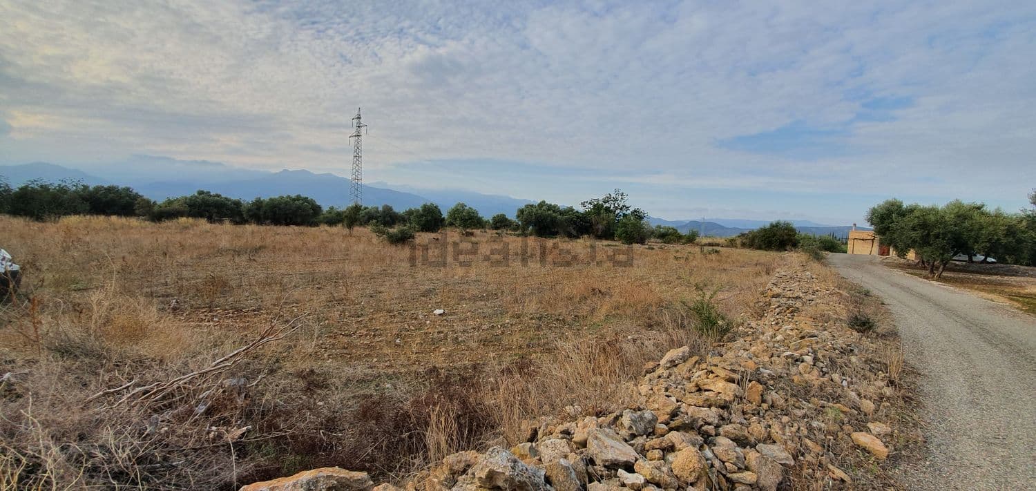 Terreno despejado junto al camino con montañas al fondo