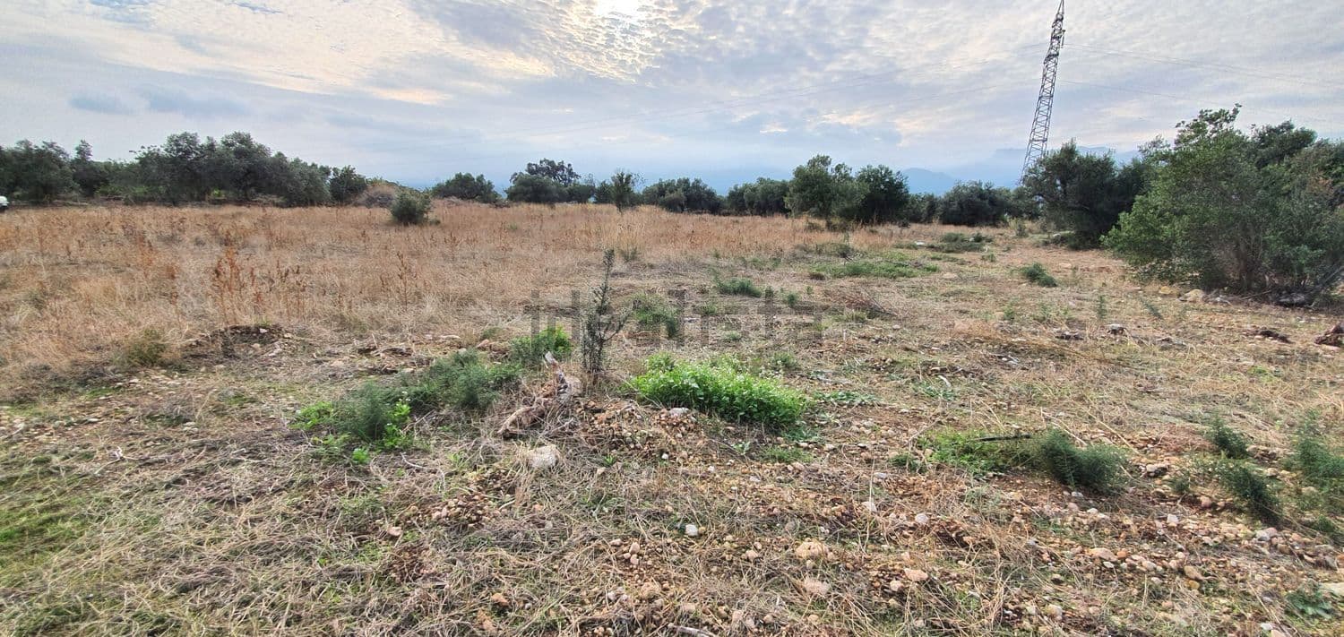 Terreno de hierba seca con una torre eléctrica al fondo