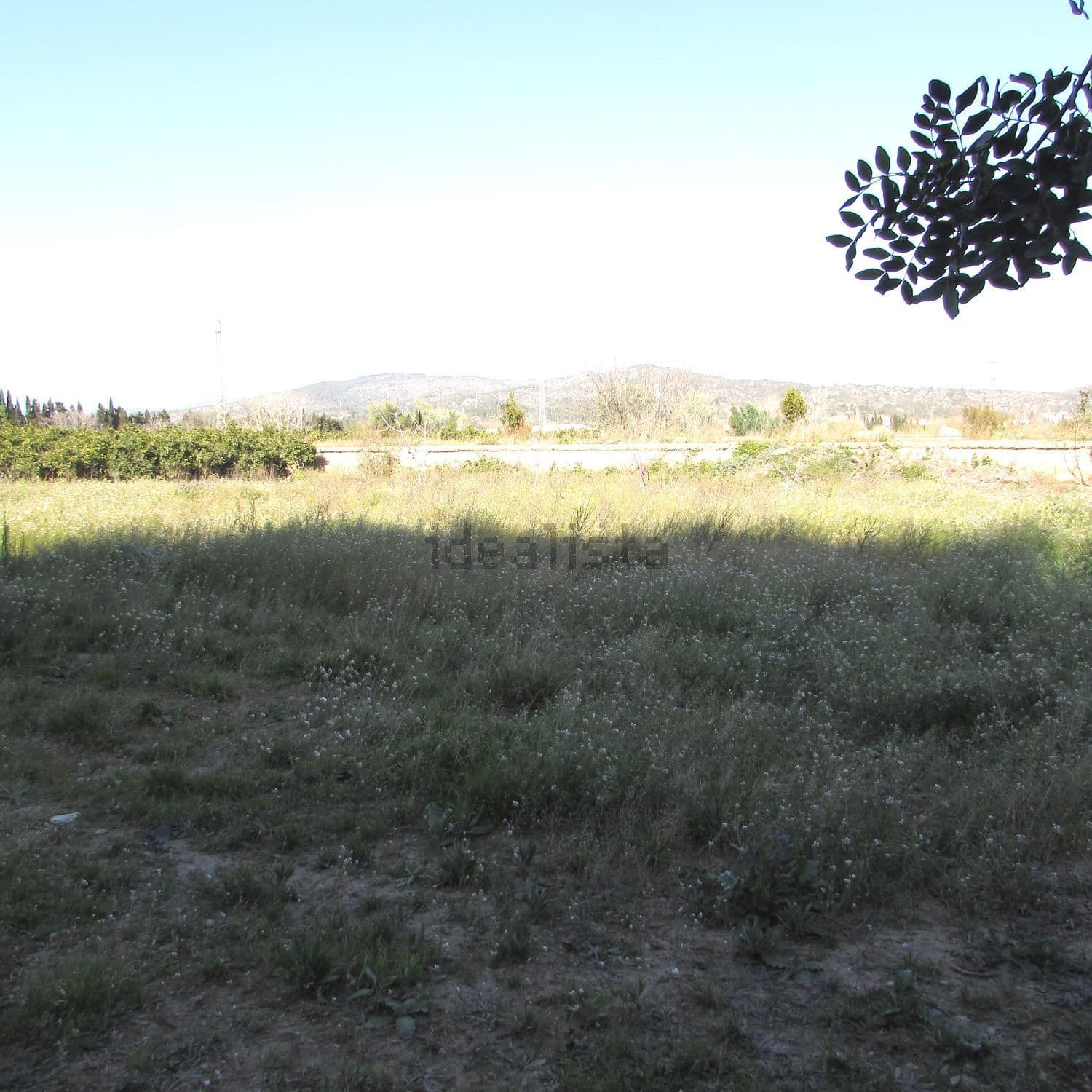 Terreno de hierba con colinas al fondo