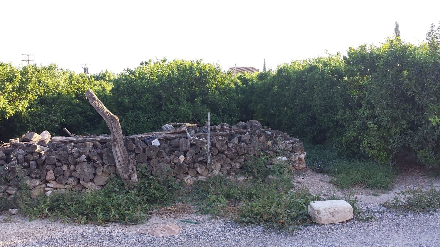Muro de piedra y campo de cítricos