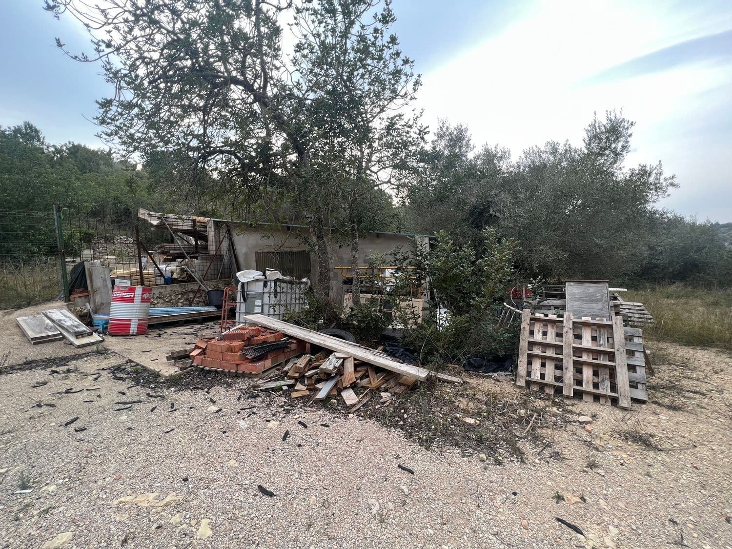 Materiales de construcción apilados bajo un olivo