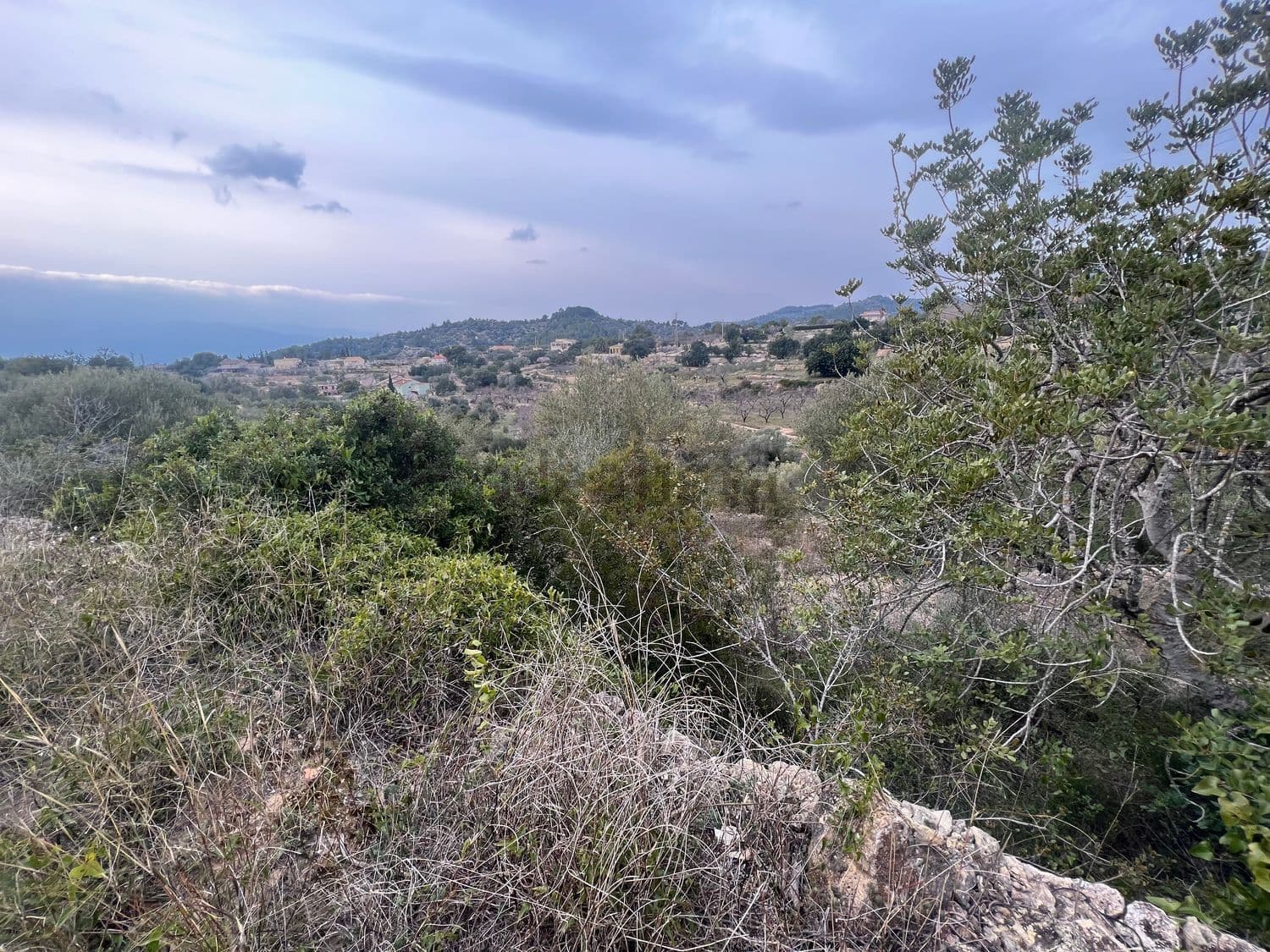 Vistas al valle desde la parte alta de la finca