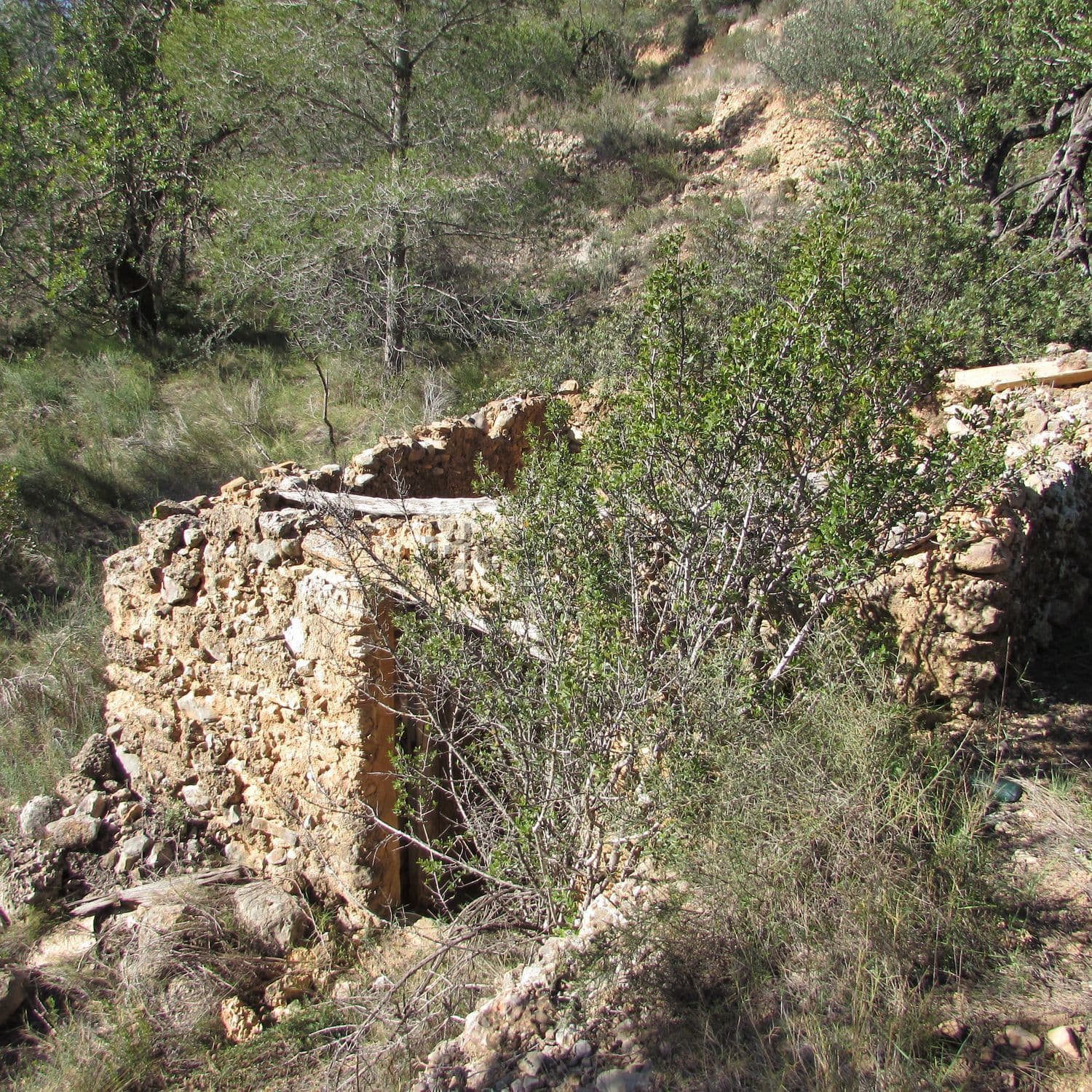 Restos de una caseta de piedra entre la vegetación