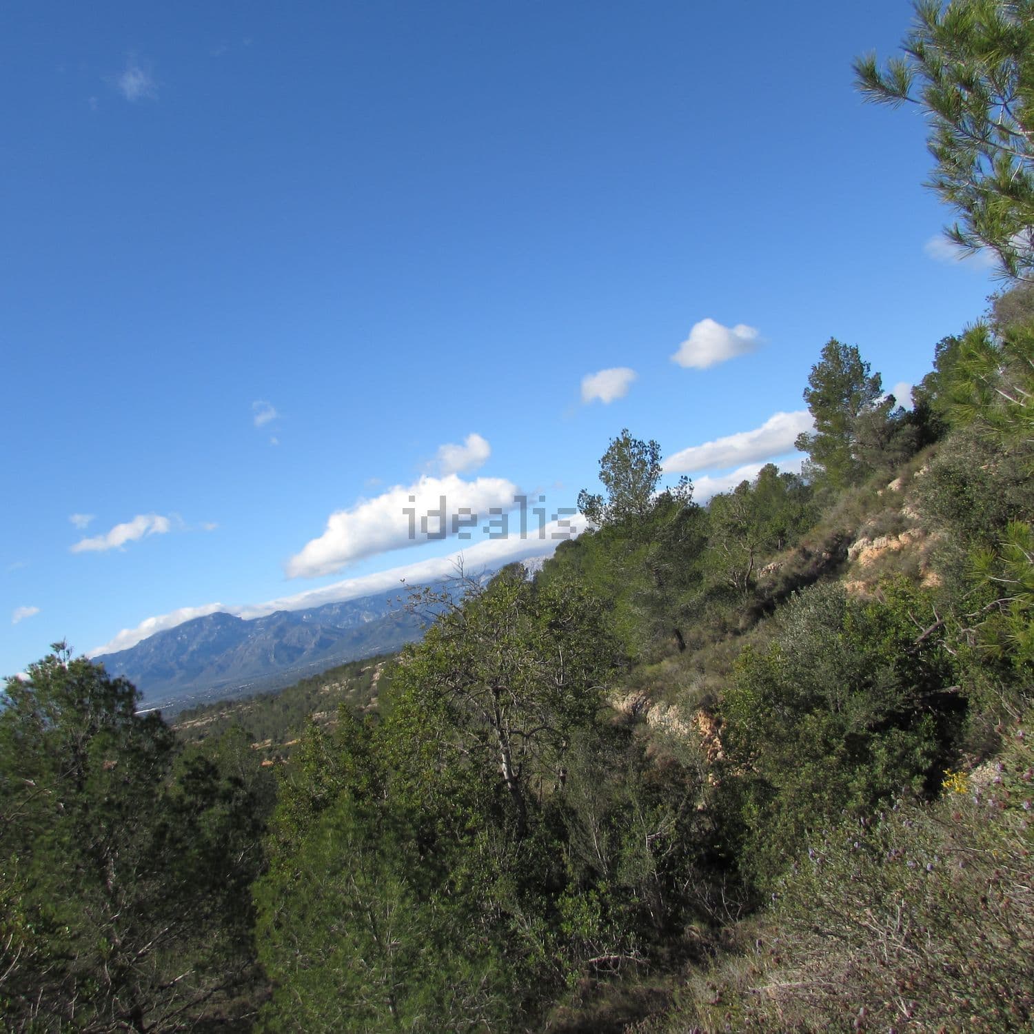 Vistas a la sierra desde la finca