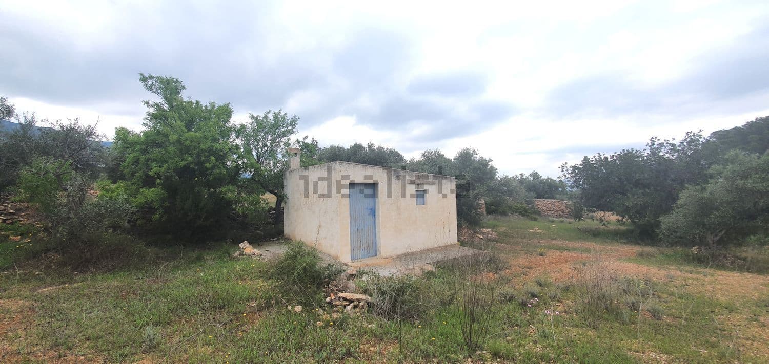 Casa de campo entre la vegetación