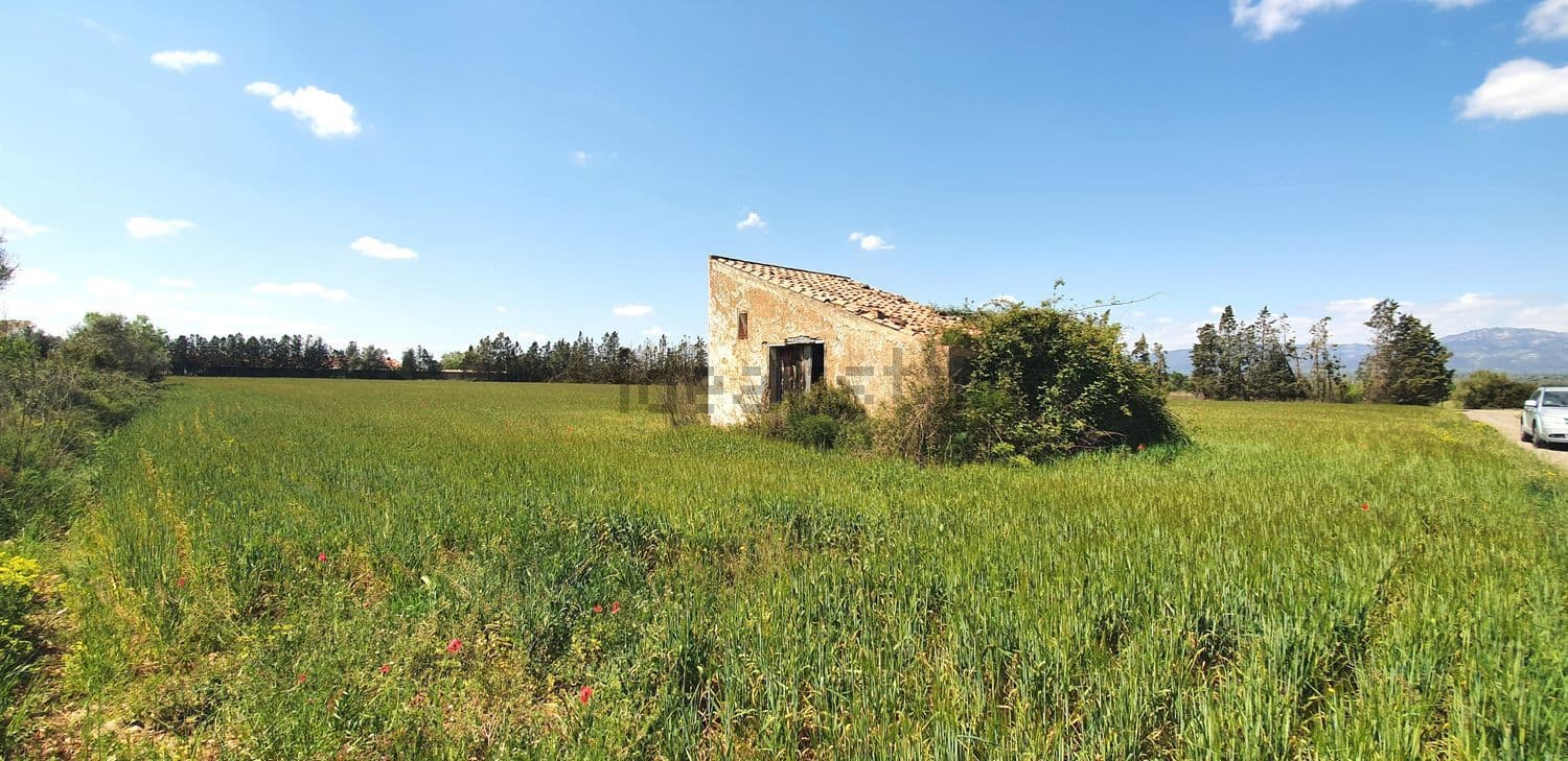 Campo de cereal con la casa de campo de piedra al fondo