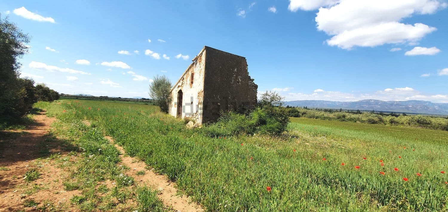 Camino de tierra hacia la casa de campo entre los campos