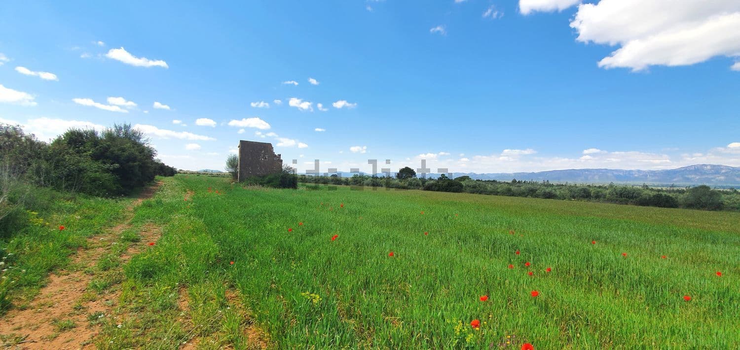 Campo verde con amapolas y la casa al fondo