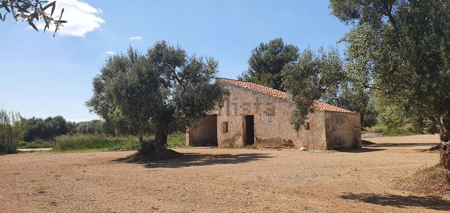 Casa de campo de piedra junto a un olivo