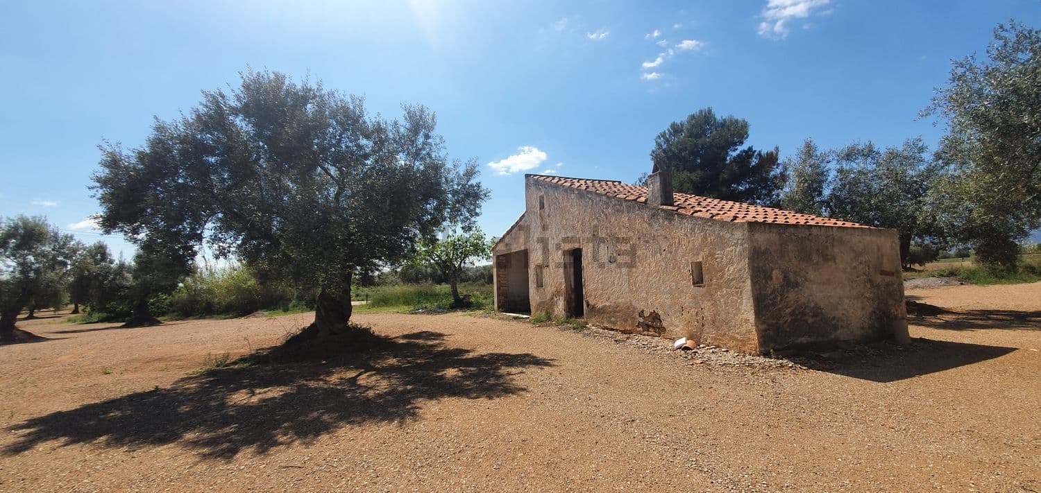 Casa de campo con tejado de teja entre olivos