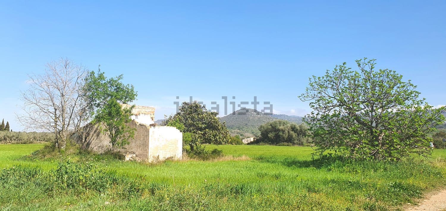 Caseta de campo entre árboles y hierba verde