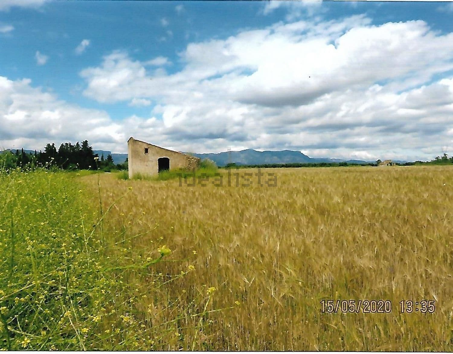 Campo de cebada con la casa de campo al fondo