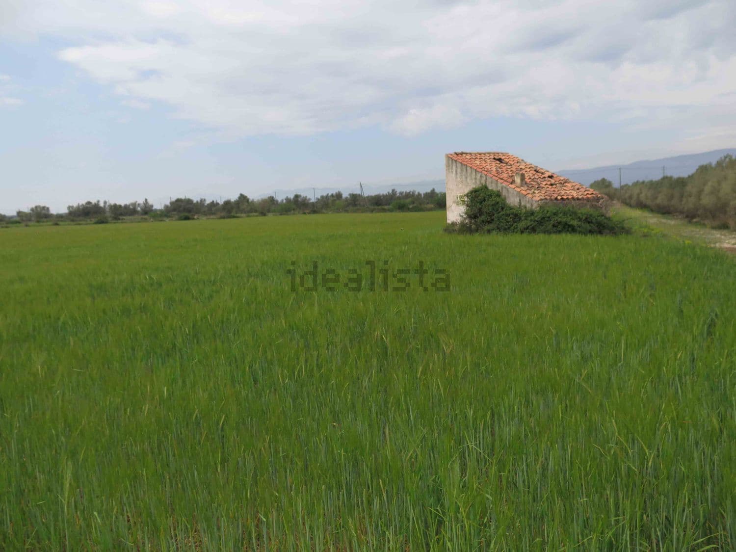 Casa de campo con tejado de teja junto al sembrado