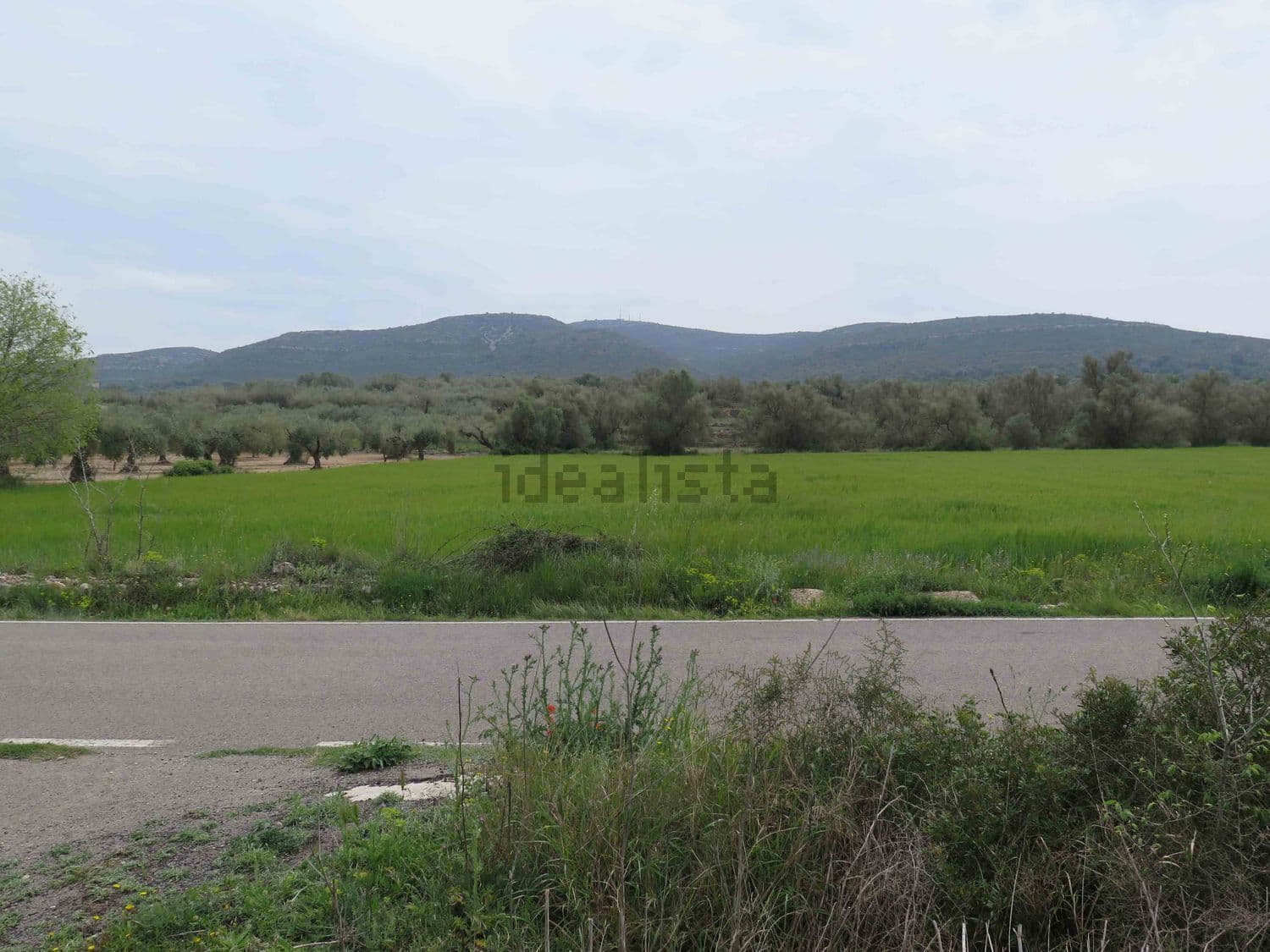 Carretera junto a la finca con la sierra al fondo