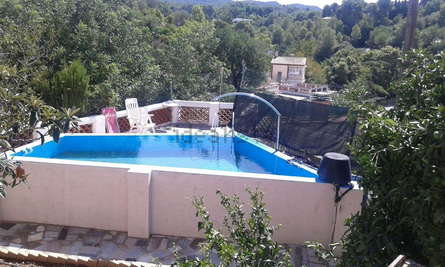Piscina rodeada de vegetación