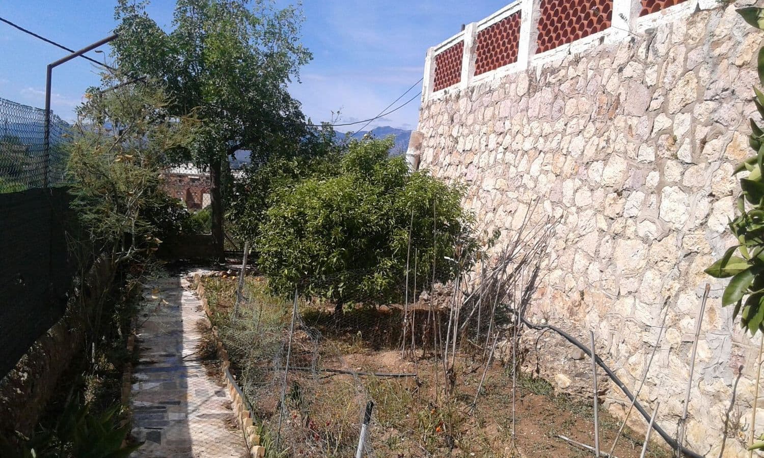 Huerto junto a un muro de piedra