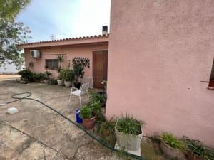 Fachada lateral con plantas y manguera