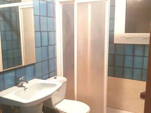 Baño con ducha, lavabo e inodoro