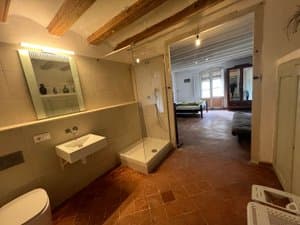 Lavabo y ducha con la habitación al fondo