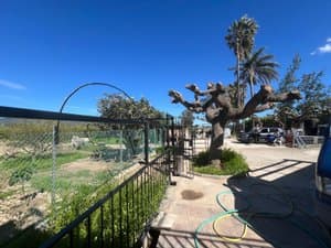 Zona vallada del jardín con palmeras