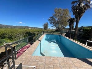 Piscina rodeada de campos y palmeras