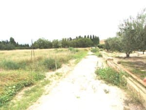 Camino junto a la acequia de riego
