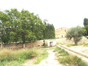 Acequia y árboles con casas al fondo