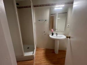 Baño con ducha y lavabo de pie
