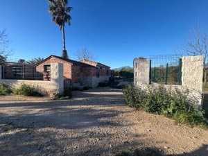 Entrada a la finca con muros de bloque y palmera