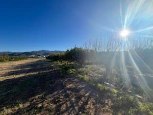 Terreno junto al camino con montañas al fondo