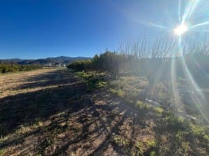 Campos junto a la finca a contraluz