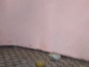 Detalle de una pared rosa y el suelo