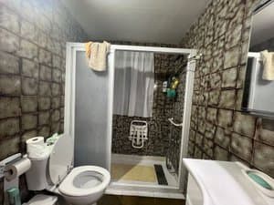 Baño con ducha e inodoro