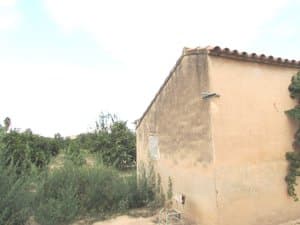 Lateral de la casa de campo con árboles