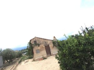 Casa de campo junto a un árbol frutal