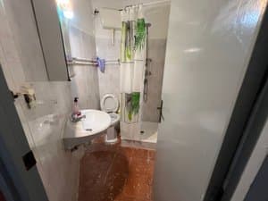 Baño con lavabo, inodoro y ducha