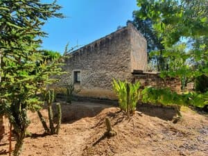 Casa de piedra entre cactus y árboles