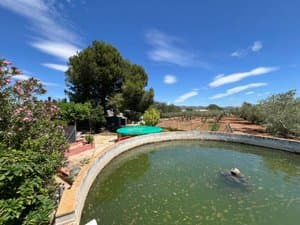 Balsa de agua junto al jardín