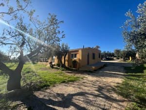 Casa amarilla entre olivos con camino de tierra