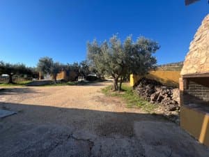 Camino interior con olivos y barbacoa