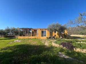 Casa entre olivos y césped