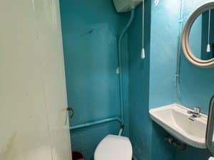 Aseo con lavabo e inodoro en paredes azules