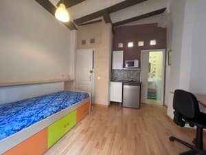 Estudio con cama y pequeña cocina