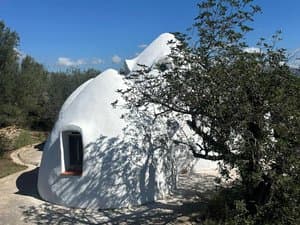 Cúpula blanca con ventana junto a un olivo