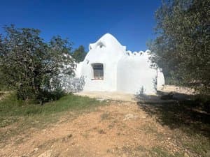 Casa ecodomo vista desde el camino