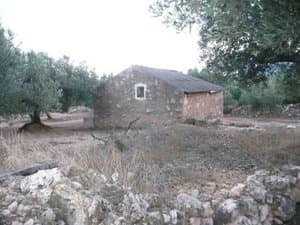 Casa de campo de piedra entre olivos